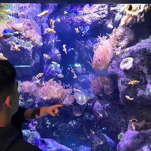 Meet your Posher, Jenn